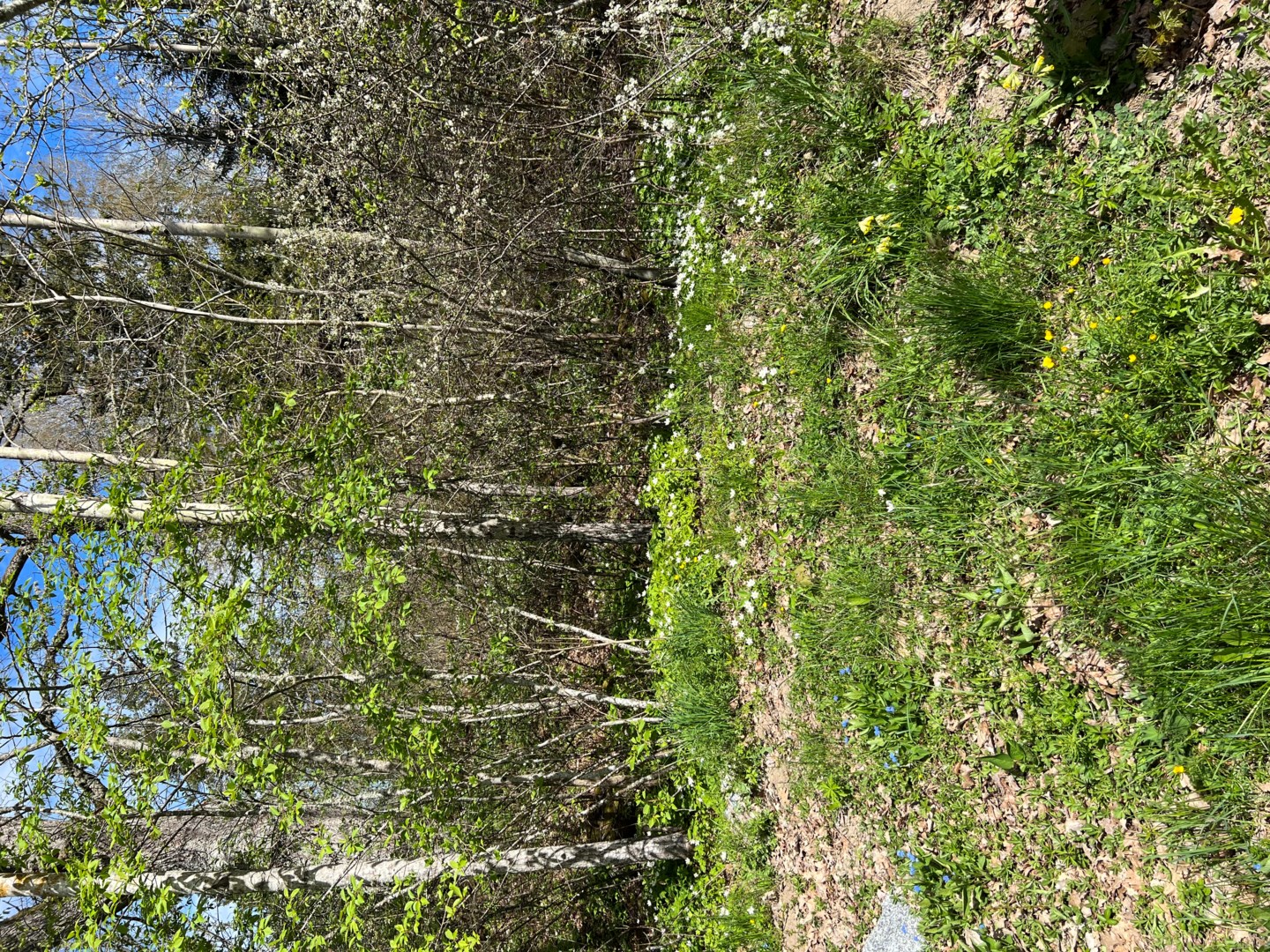 Bostadsbild från Hallkved 295, Såld i Hallkved, Uppsala