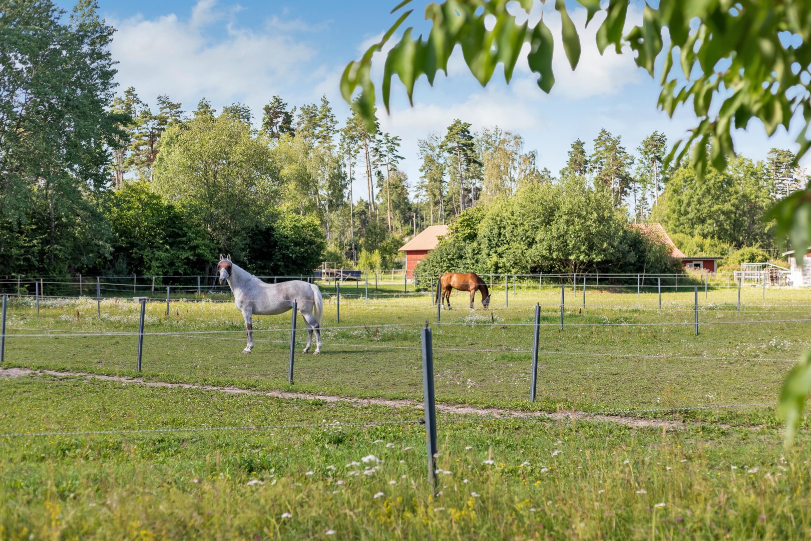 Bostadsbild från Torsbro 19, Såld i Ramstalund, Uppsala