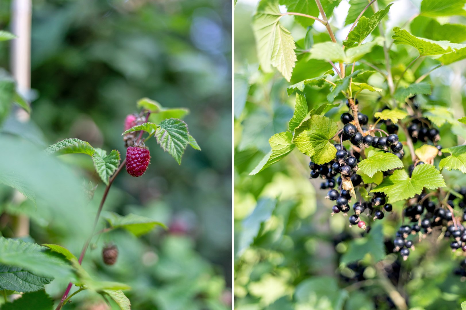 Bostadsbild från Torsbro 19, Såld i Ramstalund, Uppsala