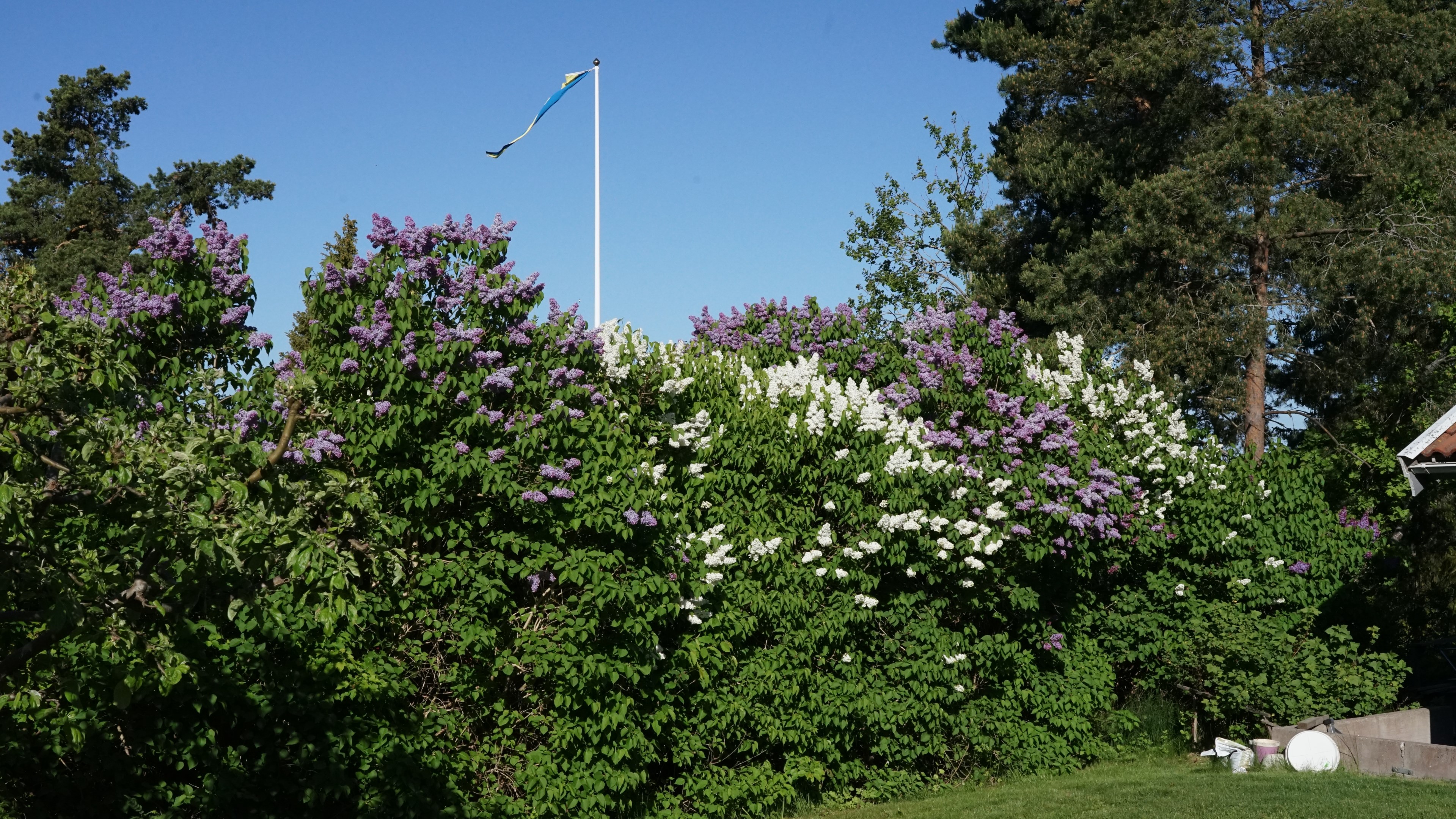 Bostadsbild från Ryttarvägen 22, Såld i Lännersta, Nacka