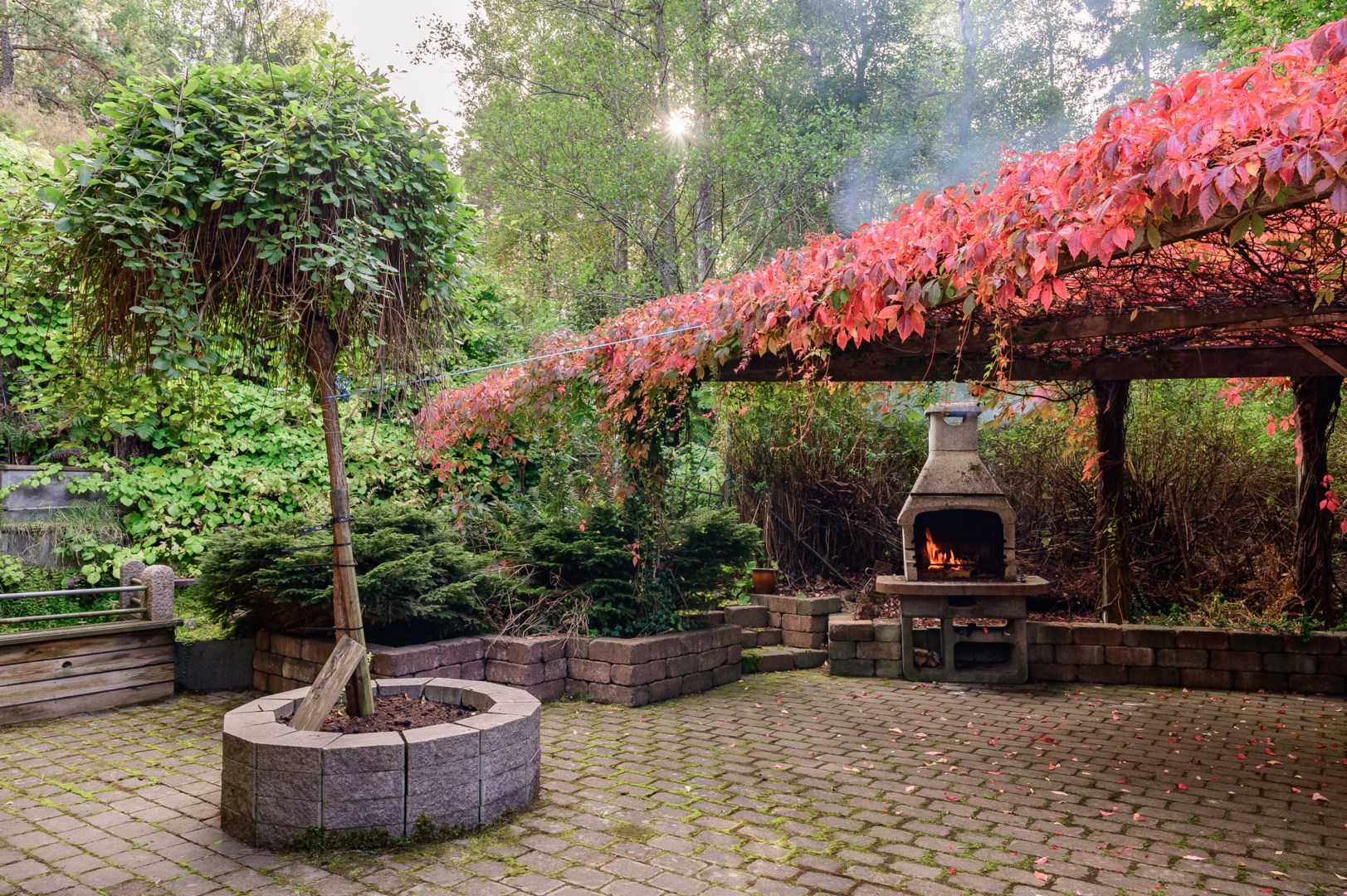 Stenlagd uteplats inbäddad i grönska sydväst om huset.