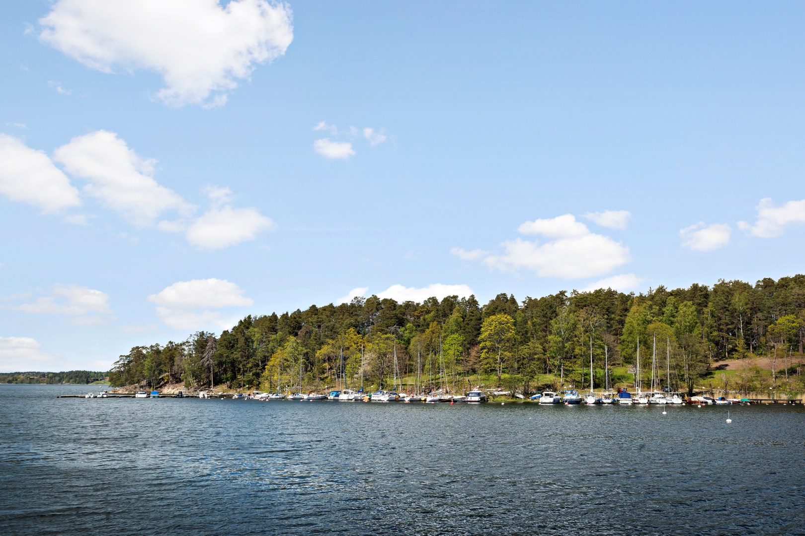 Nära Lövbergaviken och Gärdesuddens naturreservat
