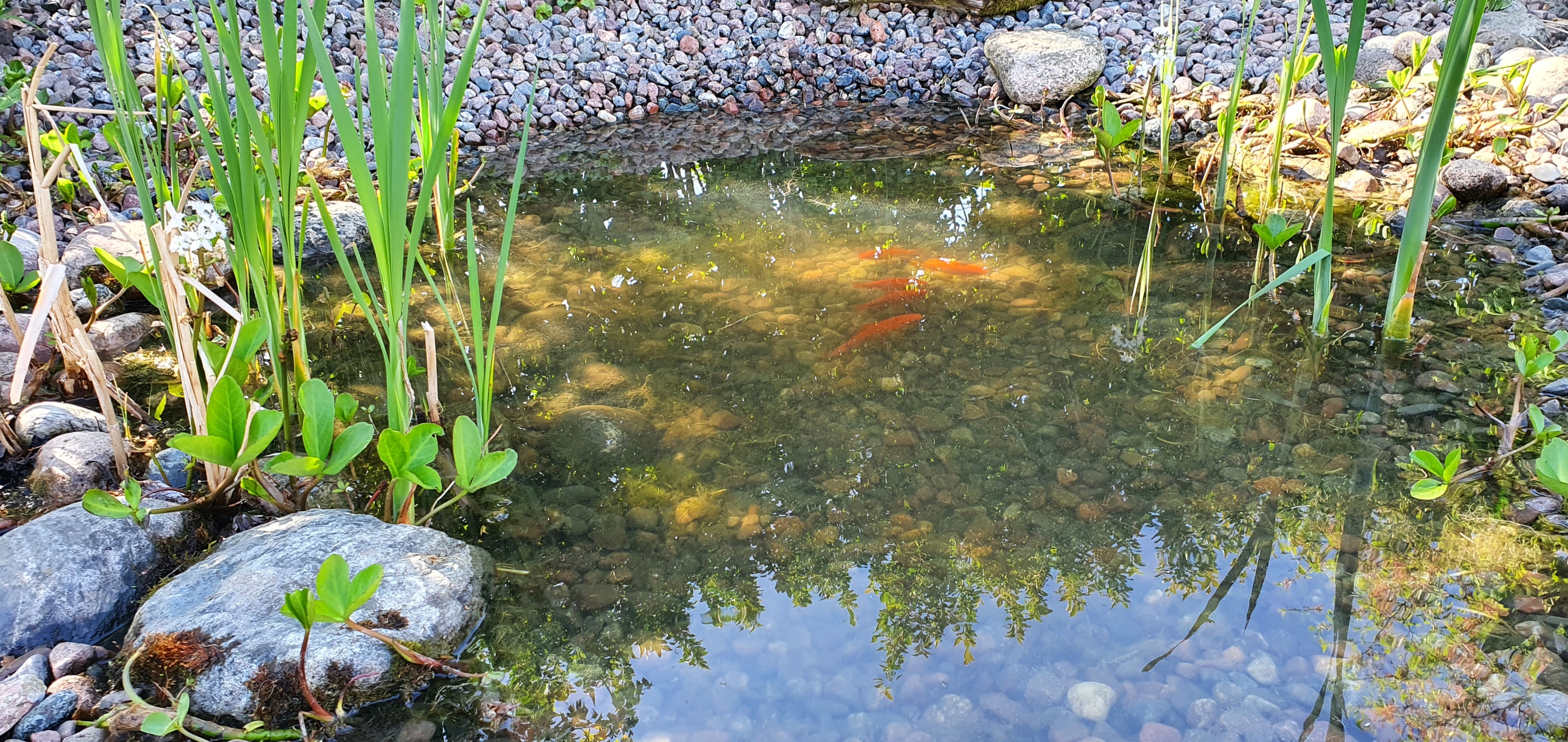 Bostadsbild från Blomstervägen 7, Såld i Sunnersta, Uppsala