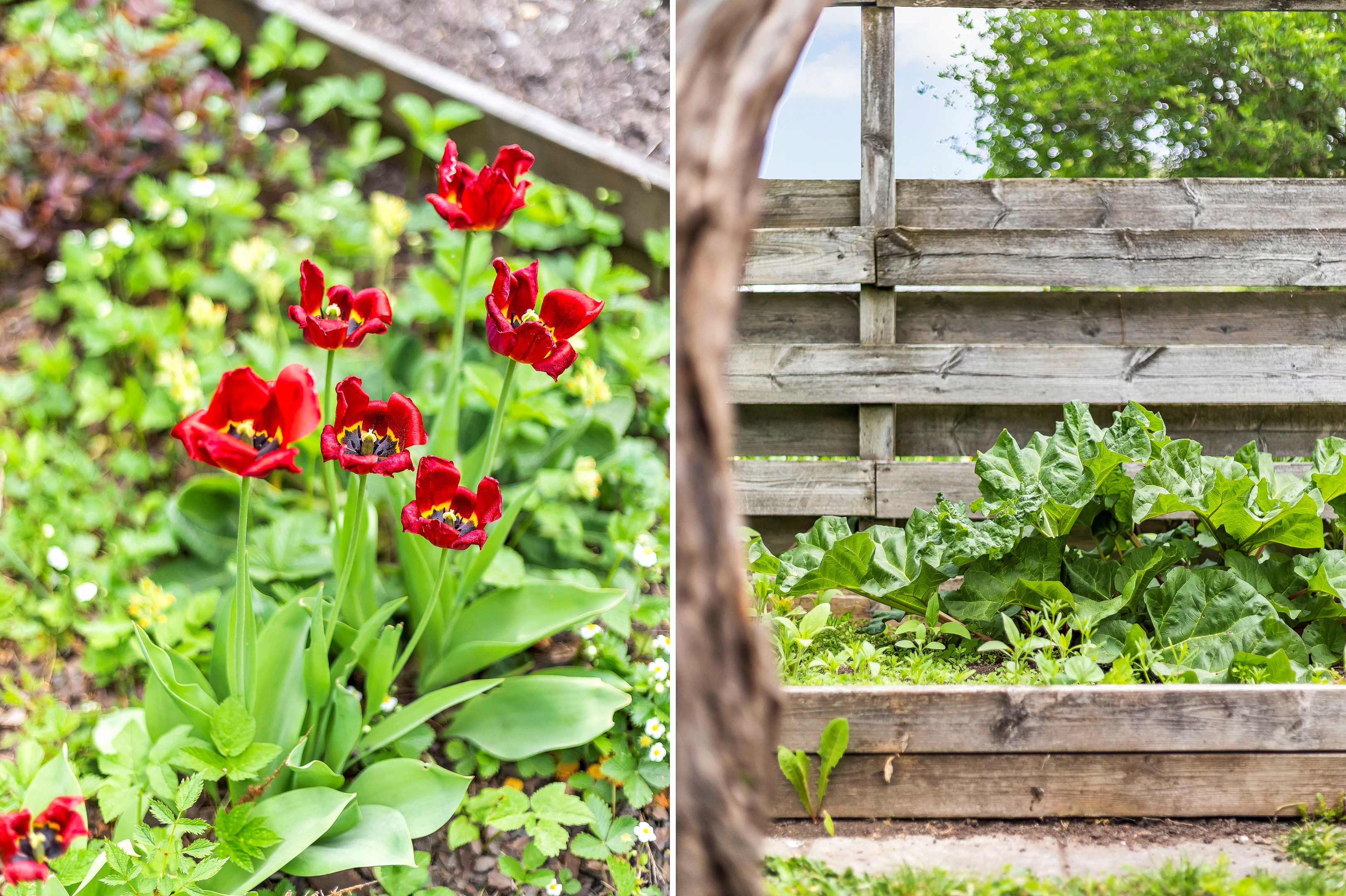 Bostadsbild från Blomstervägen 7, Såld i Sunnersta, Uppsala