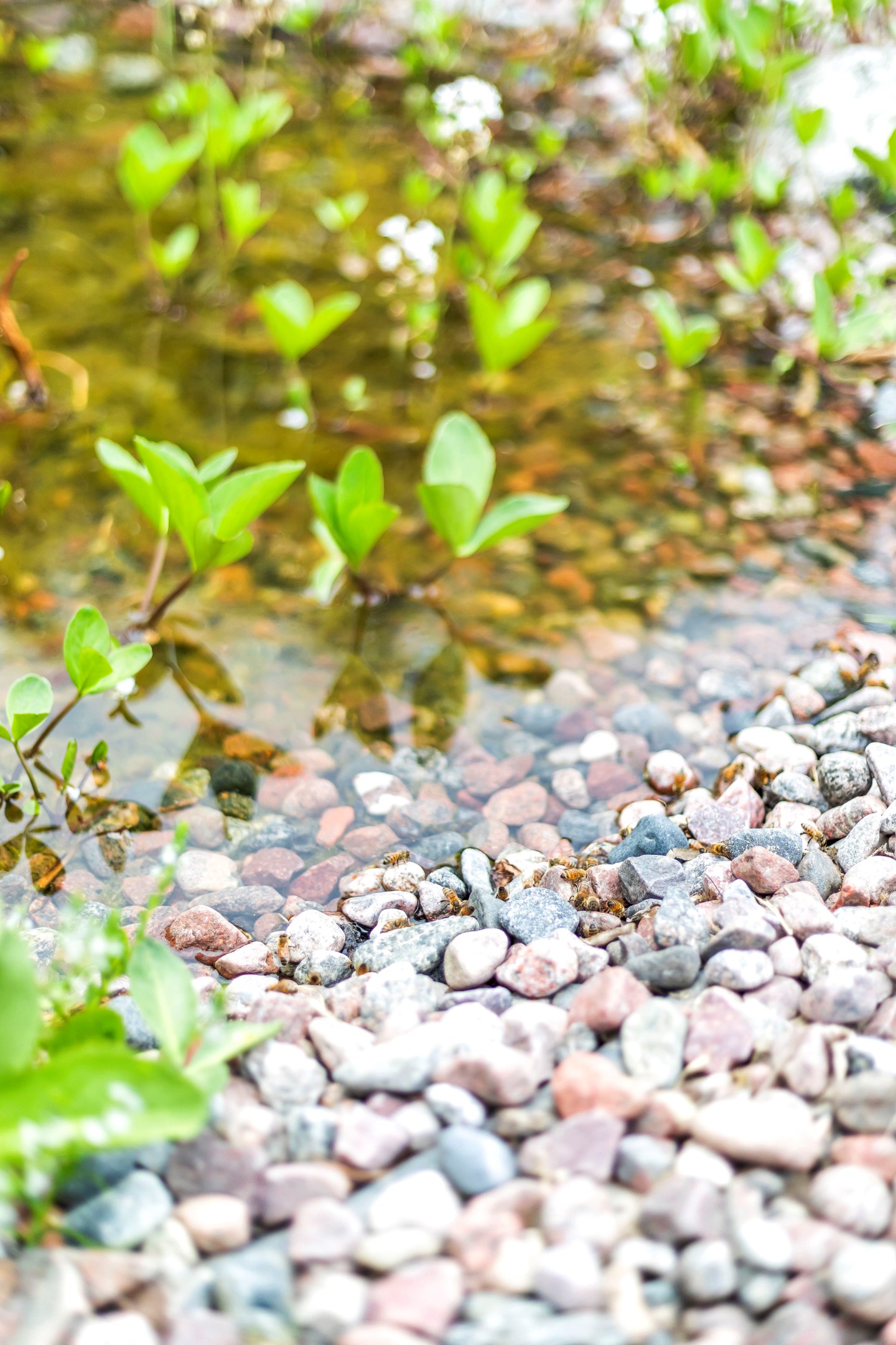 Bostadsbild från Blomstervägen 7, Såld i Sunnersta, Uppsala