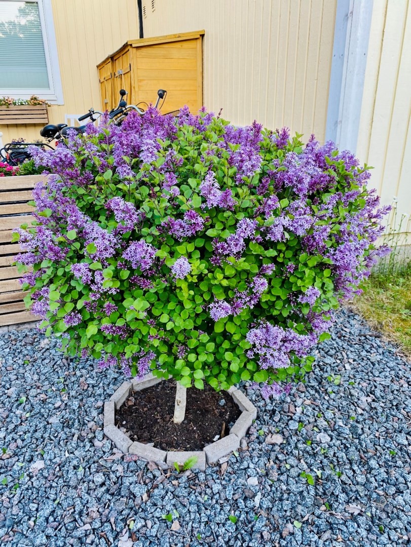 Bostadsbild från Markegångsvägen 11D, Såld i Storvreta, Uppsala