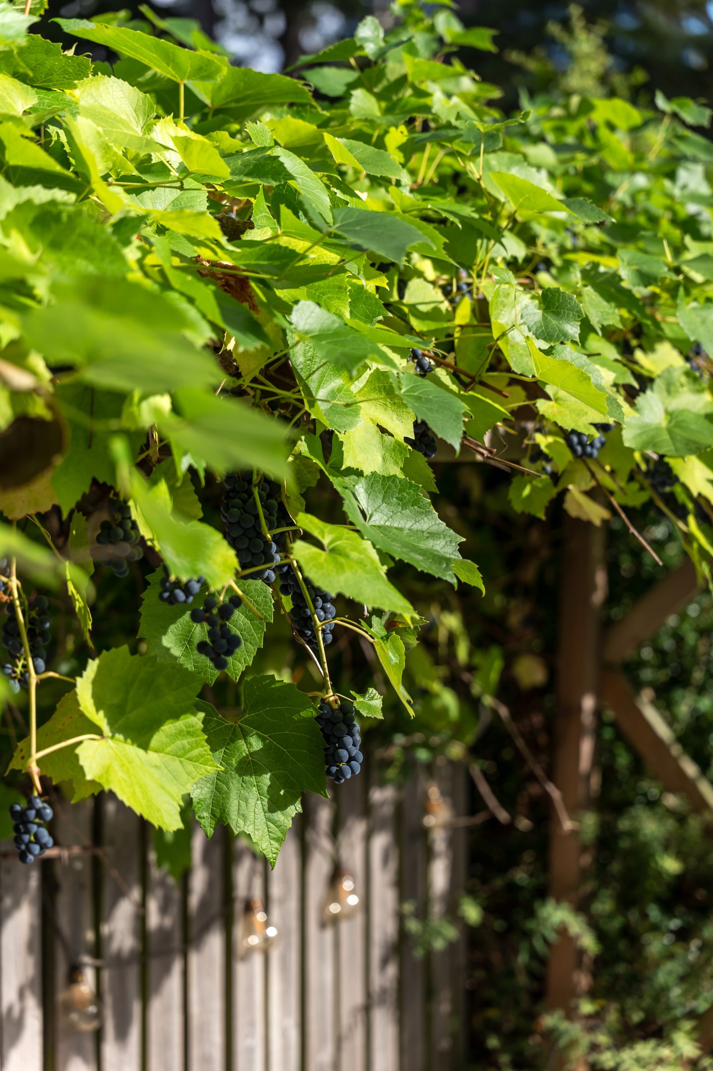 Bostadsbild från Knut Stangenbergs väg 28, Såld i Duvnäs Utskog, Nacka