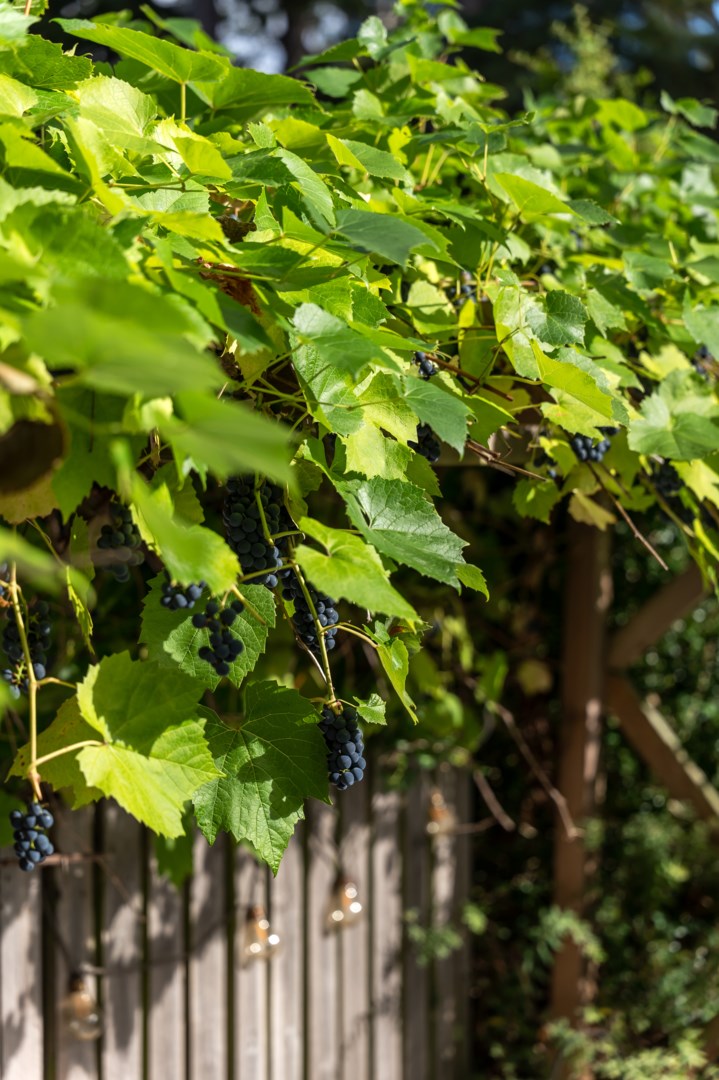 Bostadsbild från Knut Stangenbergs väg 28, Såld i Duvnäs Utskog, Nacka