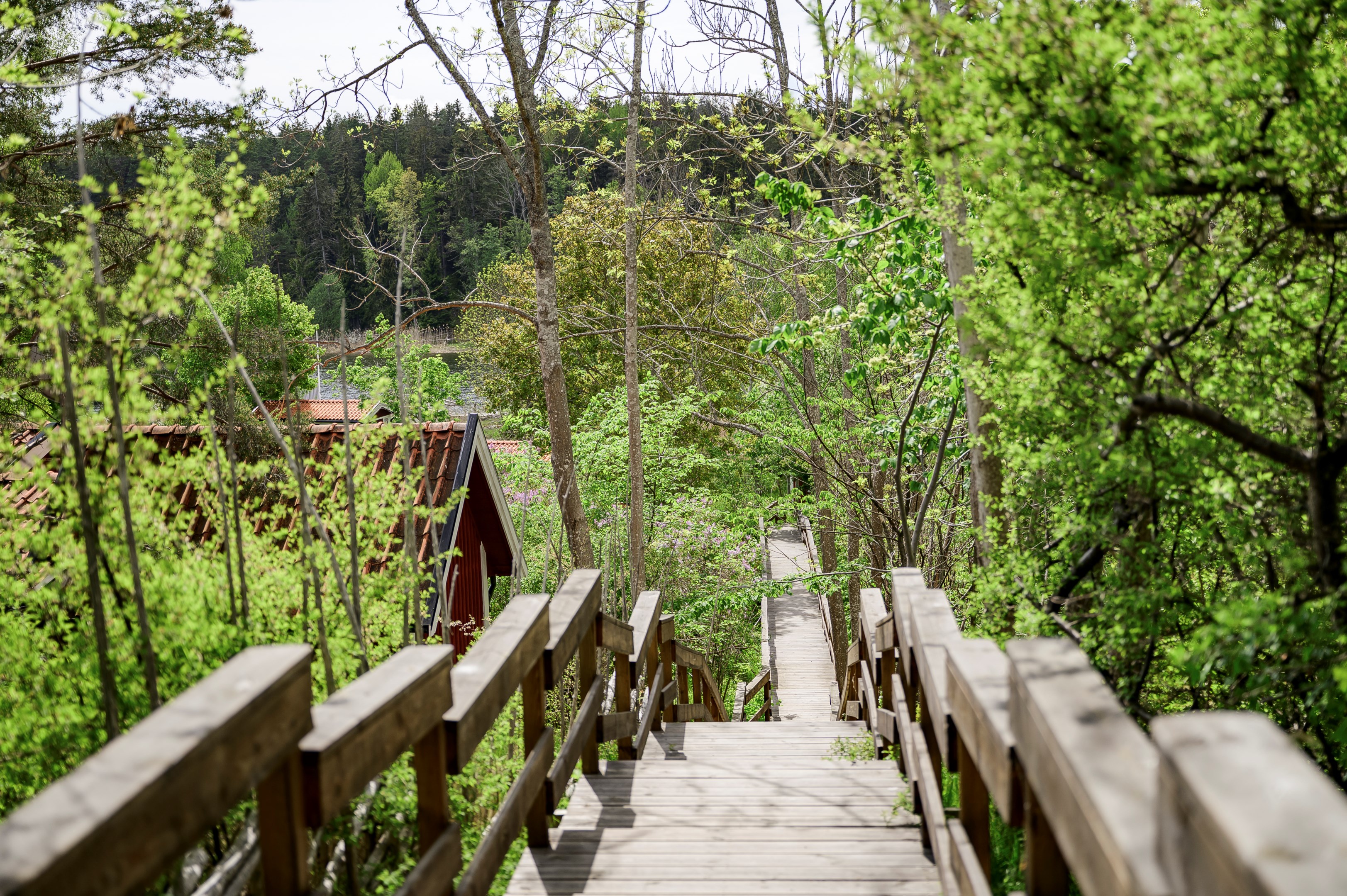 Trapp ner till den gemensamma badstranden