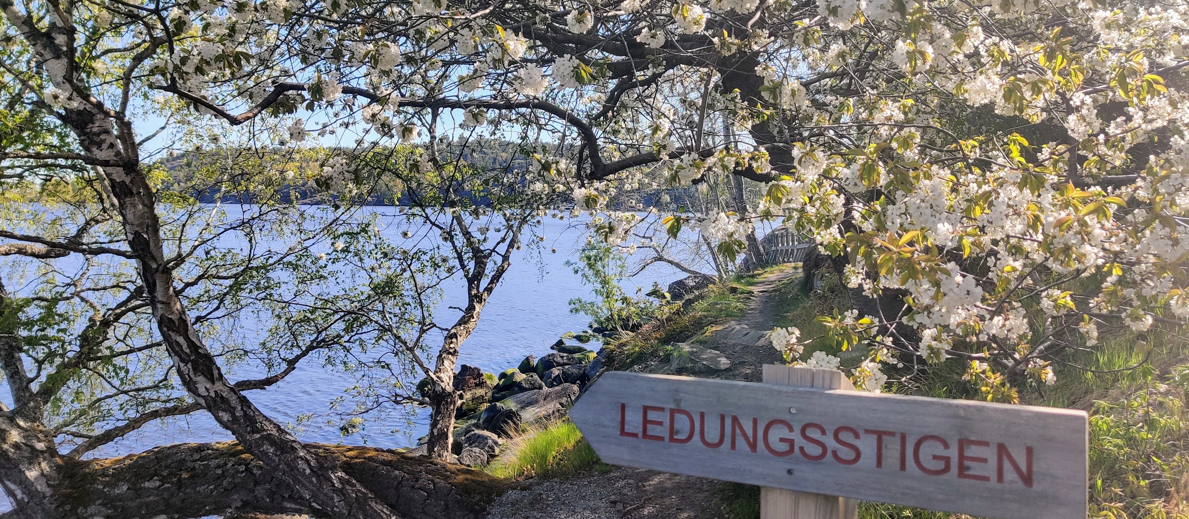 Bostadsbild från Solstigen 39, Såld i Skuru, Nacka