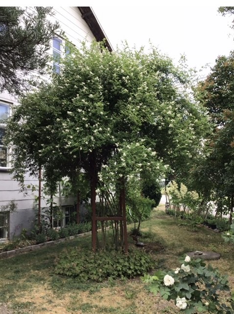Bostadsbild från Gamla Uppsala 302, Såld i Gamla Uppsala, Uppsala