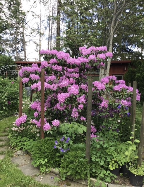 Bostadsbild från Gamla Uppsala 302, Såld i Gamla Uppsala, Uppsala
