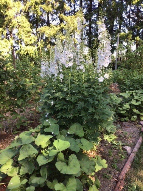 Bostadsbild från Gamla Uppsala 302, Såld i Gamla Uppsala, Uppsala