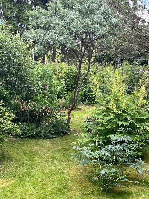 Bostadsbild från Gamla Uppsala 302, Såld i Gamla Uppsala, Uppsala