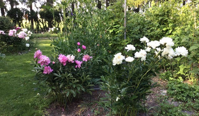 Bostadsbild från Gamla Uppsala 302, Såld i Gamla Uppsala, Uppsala