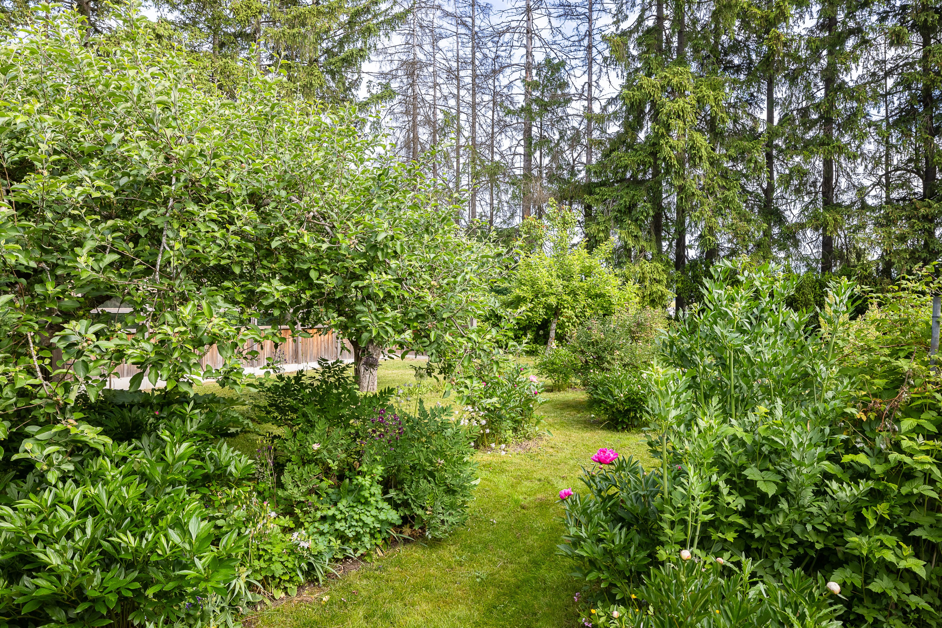 Bostadsbild från Gamla Uppsala 302, Såld i Gamla Uppsala, Uppsala