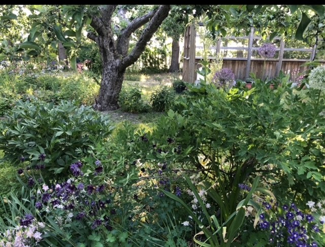 Bostadsbild från Gamla Uppsala 302, Såld i Gamla Uppsala, Uppsala