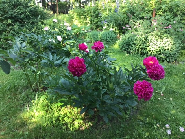 Bostadsbild från Gamla Uppsala 302, Såld i Gamla Uppsala, Uppsala