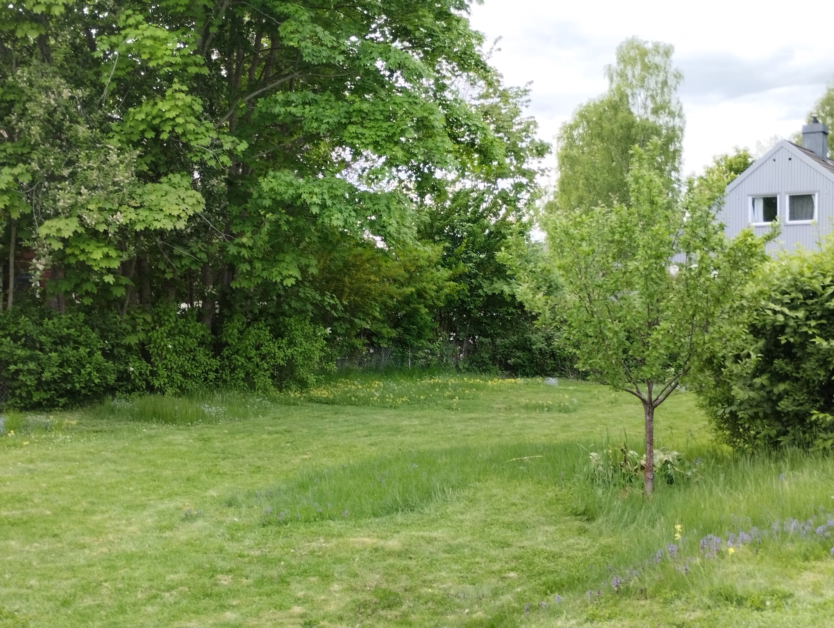 Säljarens egna bild!