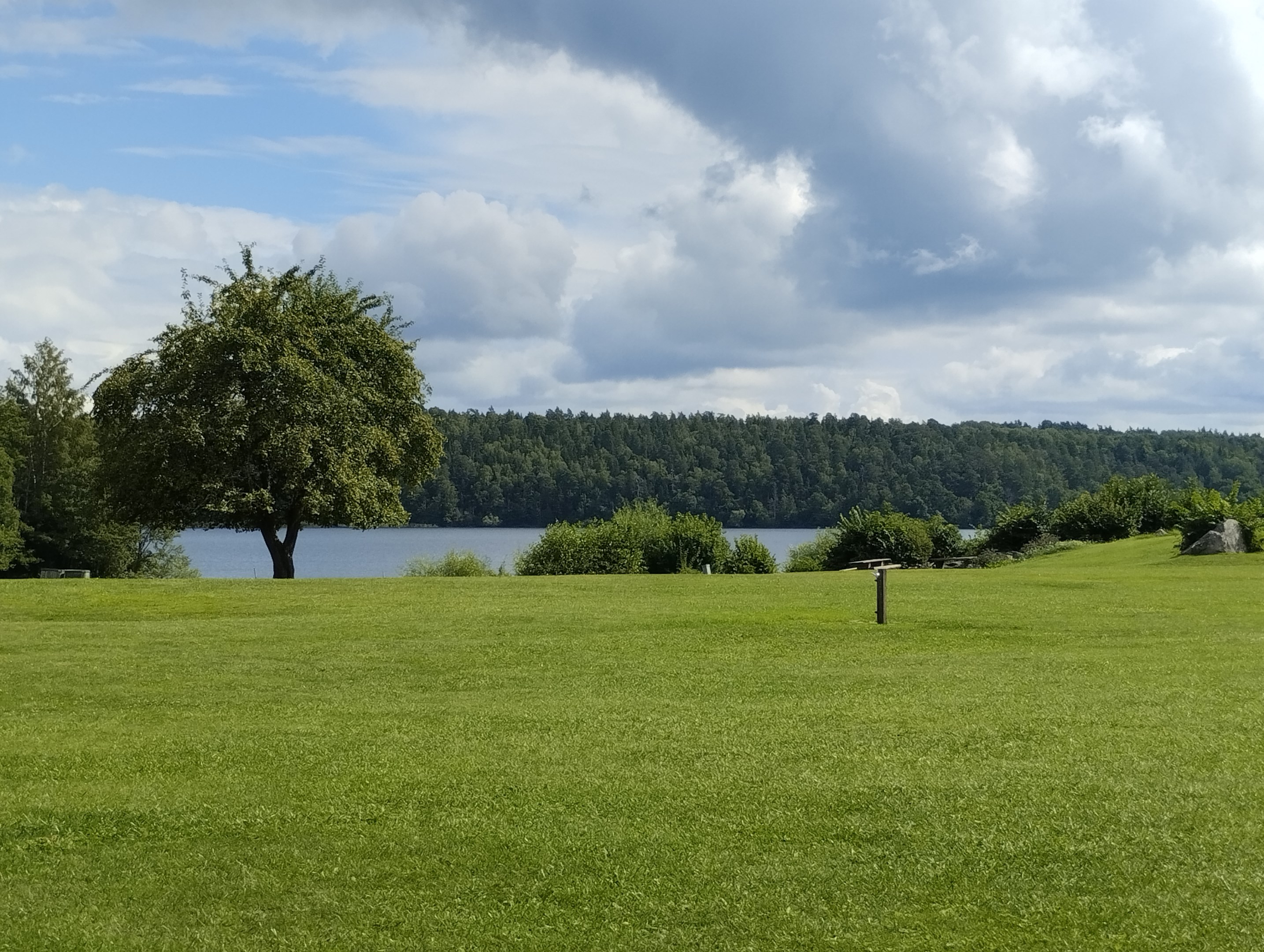 Säljarens egna bild!