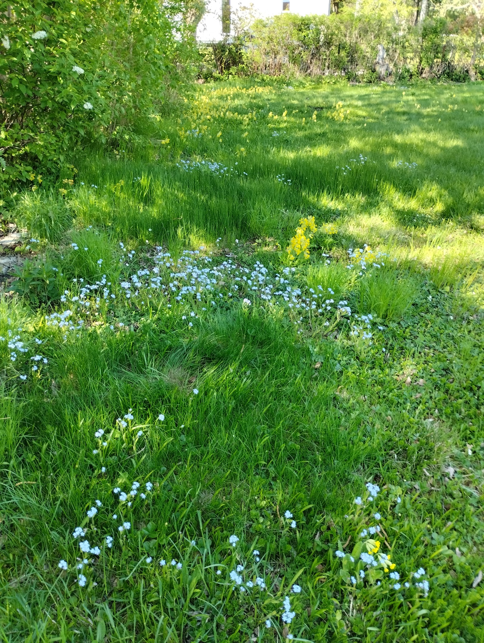 Säljarens egna bild!