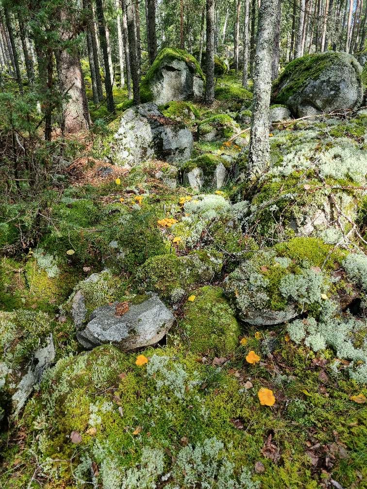 Bostadsbild från Jumkils-Björnarbo Norrbo 40, Såld i Jumkil, Uppsala