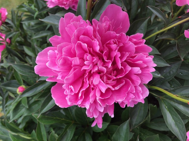 Bostadsbild från Jumkils-Björnarbo Norrbo 40, Såld i Jumkil, Uppsala