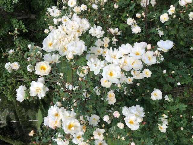 Bostadsbild från Jumkils-Björnarbo Norrbo 40, Såld i Jumkil, Uppsala