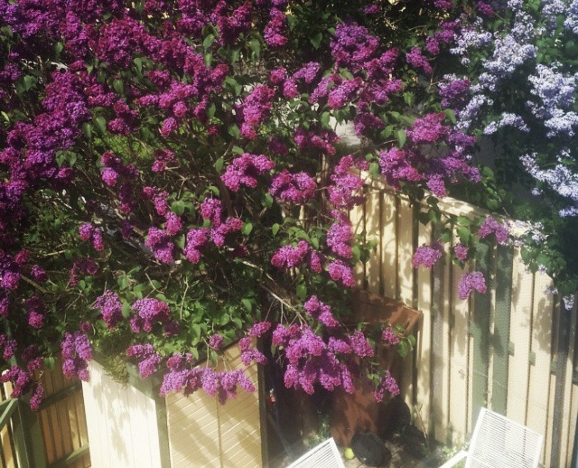 Bostadsbild från Notgatan 15, Såld i Fiskarhöjden - Saltsjöbaden, Nacka