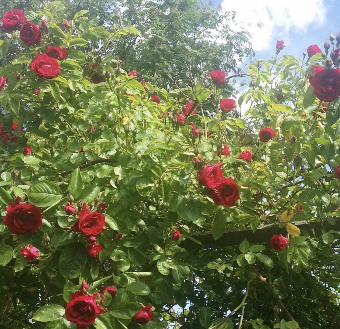 Bostadsbild från Notgatan 15, Såld i Fiskarhöjden - Saltsjöbaden, Nacka