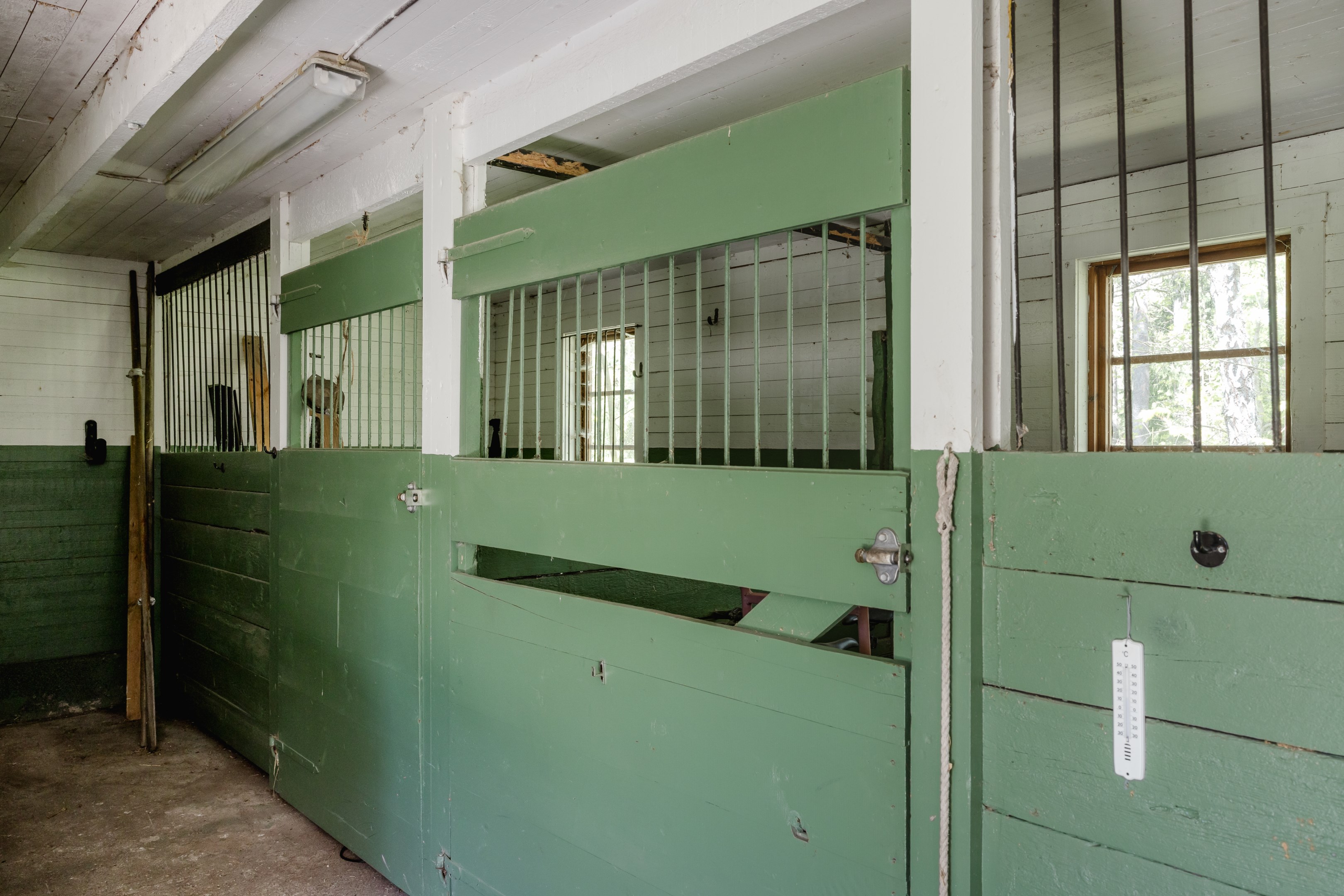 Stall med boxar grovkök och höloft