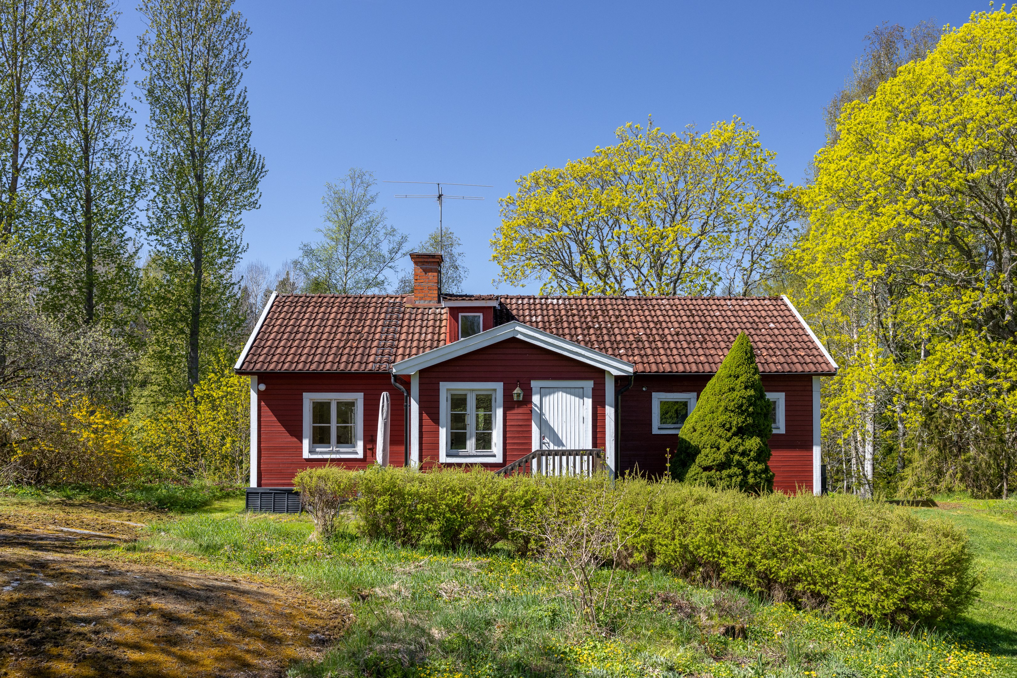 Skyddat läge inbäddad av uppvuxen grönska