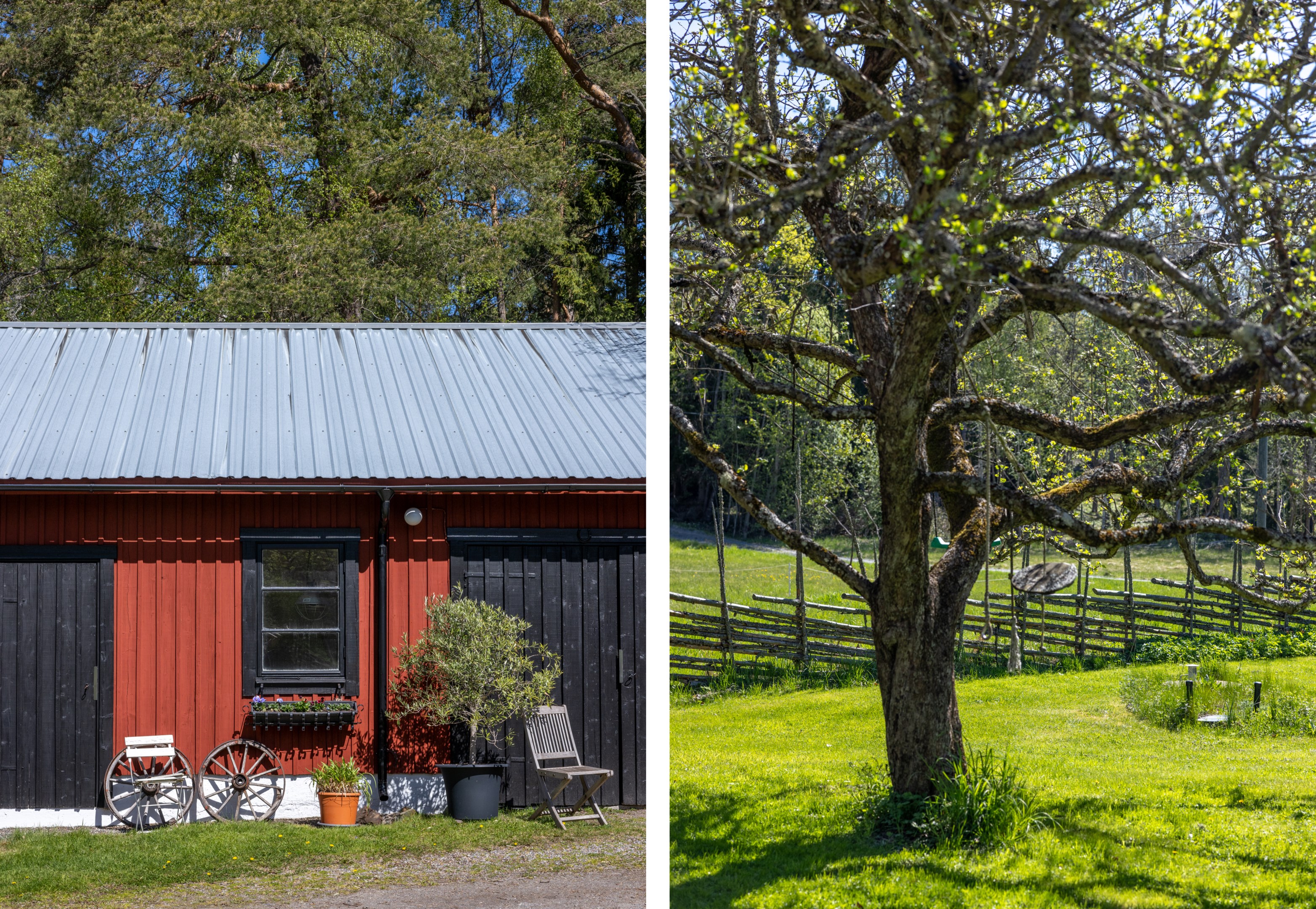Unik miljö med uppvuxna ekar och blommande grönska