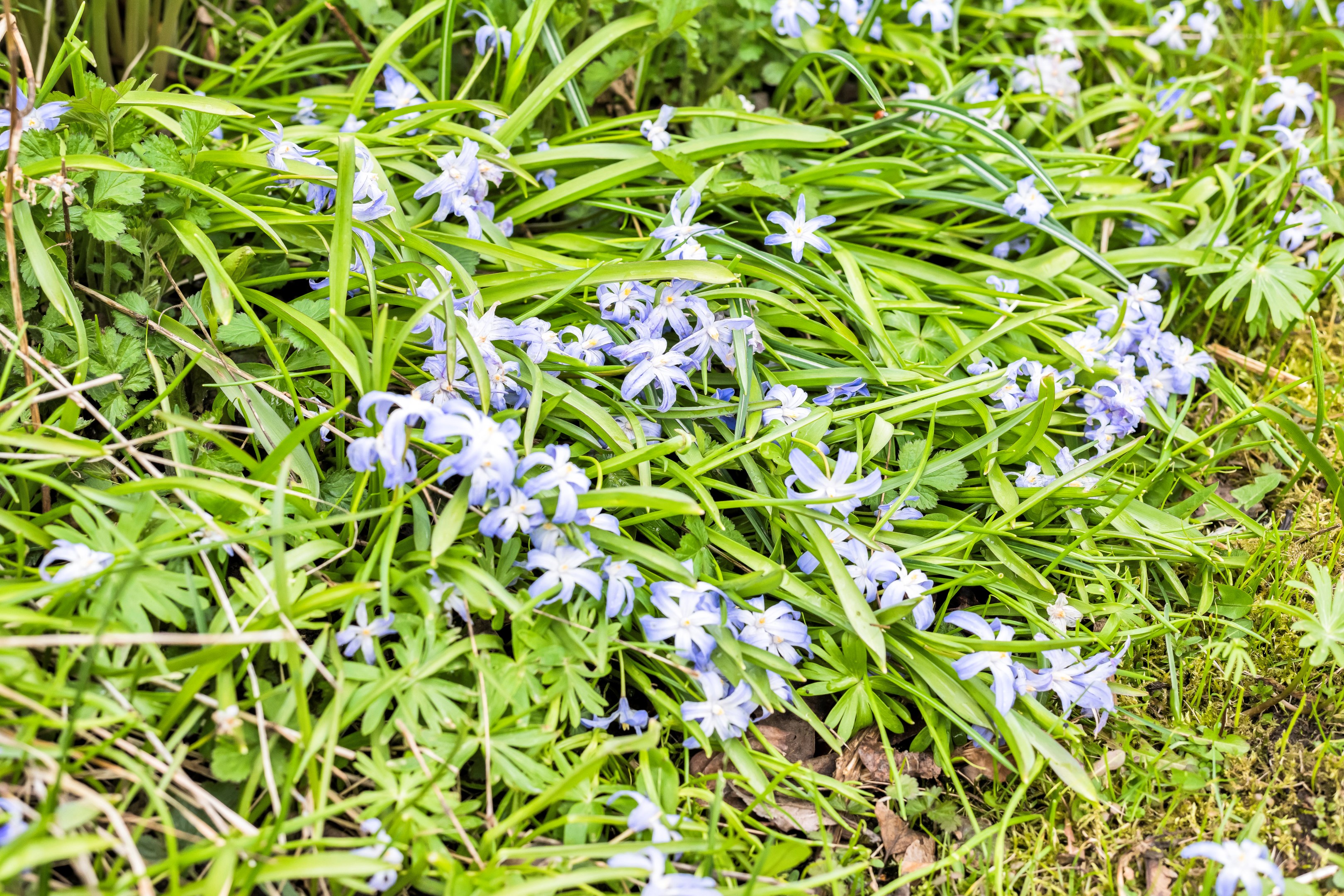 Bostadsbild från Rörbäcksvägen 22, Såld i Nåntuna, Uppsala