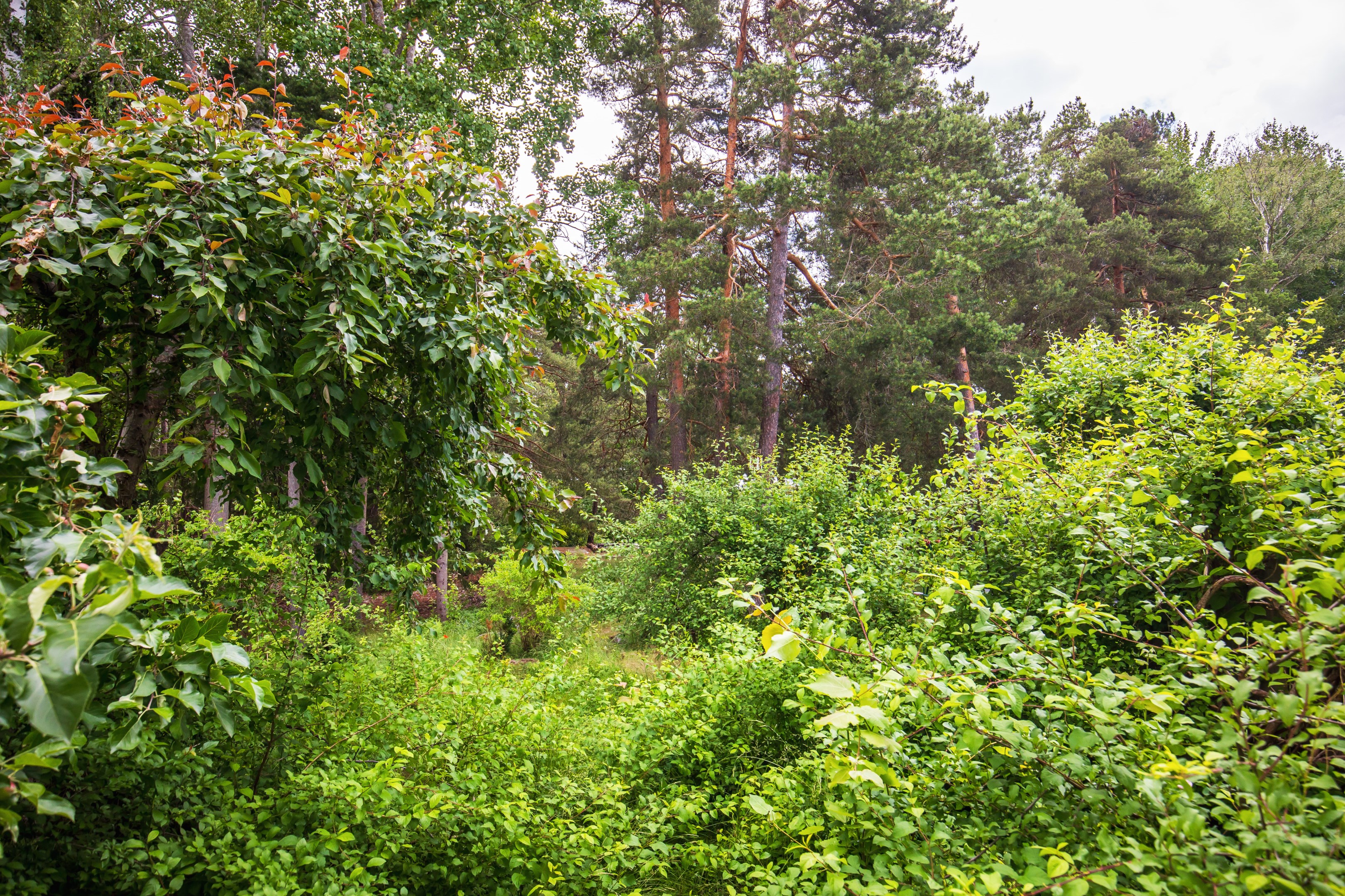 Bostadsbild från Knut Stangenbergs väg 24, Såld i Duvnäs Utskog, Nacka