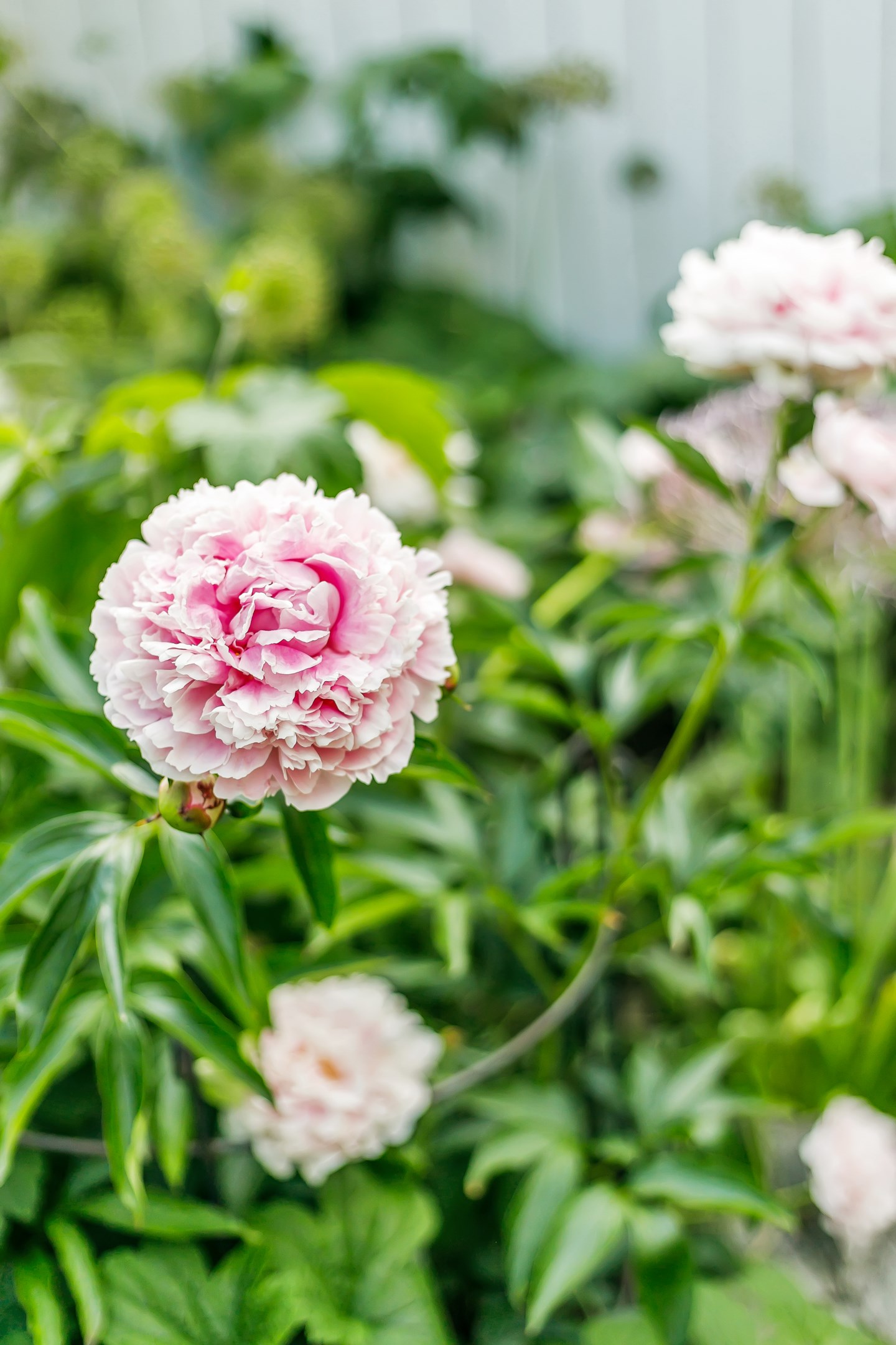 Bostadsbild från Eriksgatan 28A, Såld i Luthagen, Uppsala