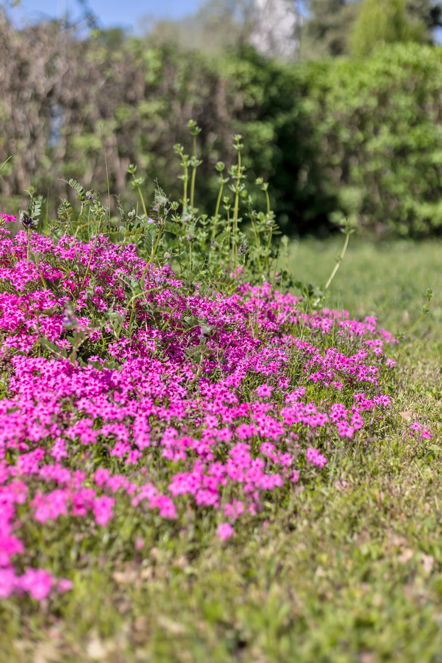 Bostadsbild från Nordhemsvägen 1, Kommande i Norra Gottsunda Villaområde, Uppsala