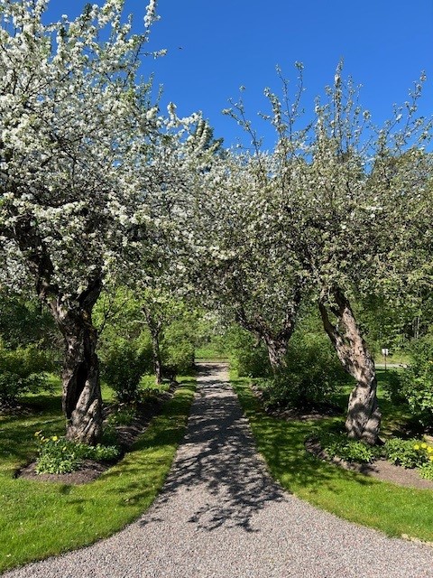 Bostadsbild från Skoklostervägen 40, Såld i Skokloster, Håbo