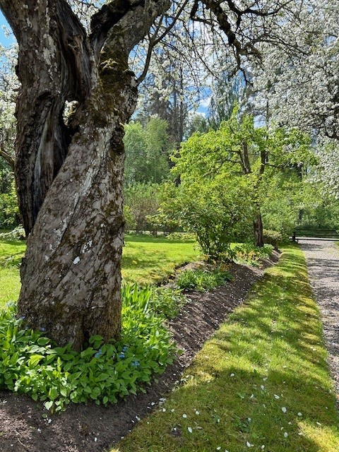 Bostadsbild från Skoklostervägen 40, Såld i Skokloster, Håbo