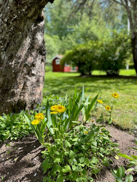 Bostadsbild från Skoklostervägen 40, Såld i Skokloster, Håbo