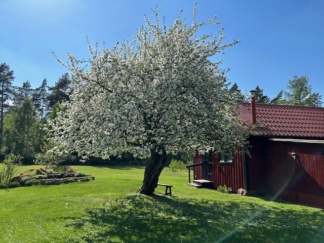 Bostadsbild från Skoklostervägen 40, Såld i Skokloster, Håbo