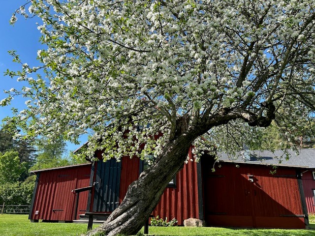 Bostadsbild från Skoklostervägen 40, Såld i Skokloster, Håbo