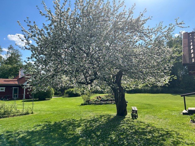 Bostadsbild från Skoklostervägen 40, Såld i Skokloster, Håbo