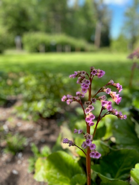 Bostadsbild från Skoklostervägen 40, Såld i Skokloster, Håbo