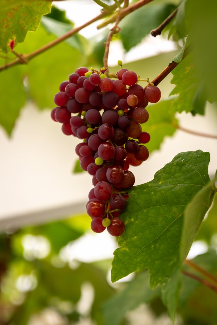 Bostadsbild från Infanterigatan 45, Såld i Viksäng, Västerås