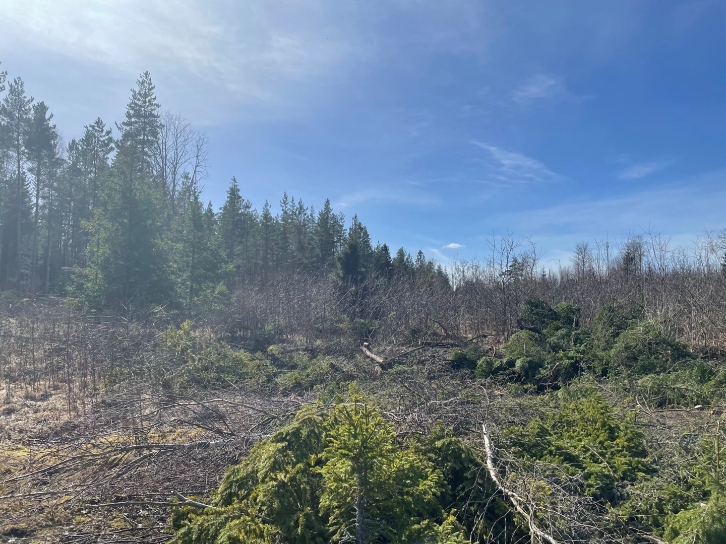 Bostadsbild från Lagga Marma, Till salu i Lagga, Knivsta