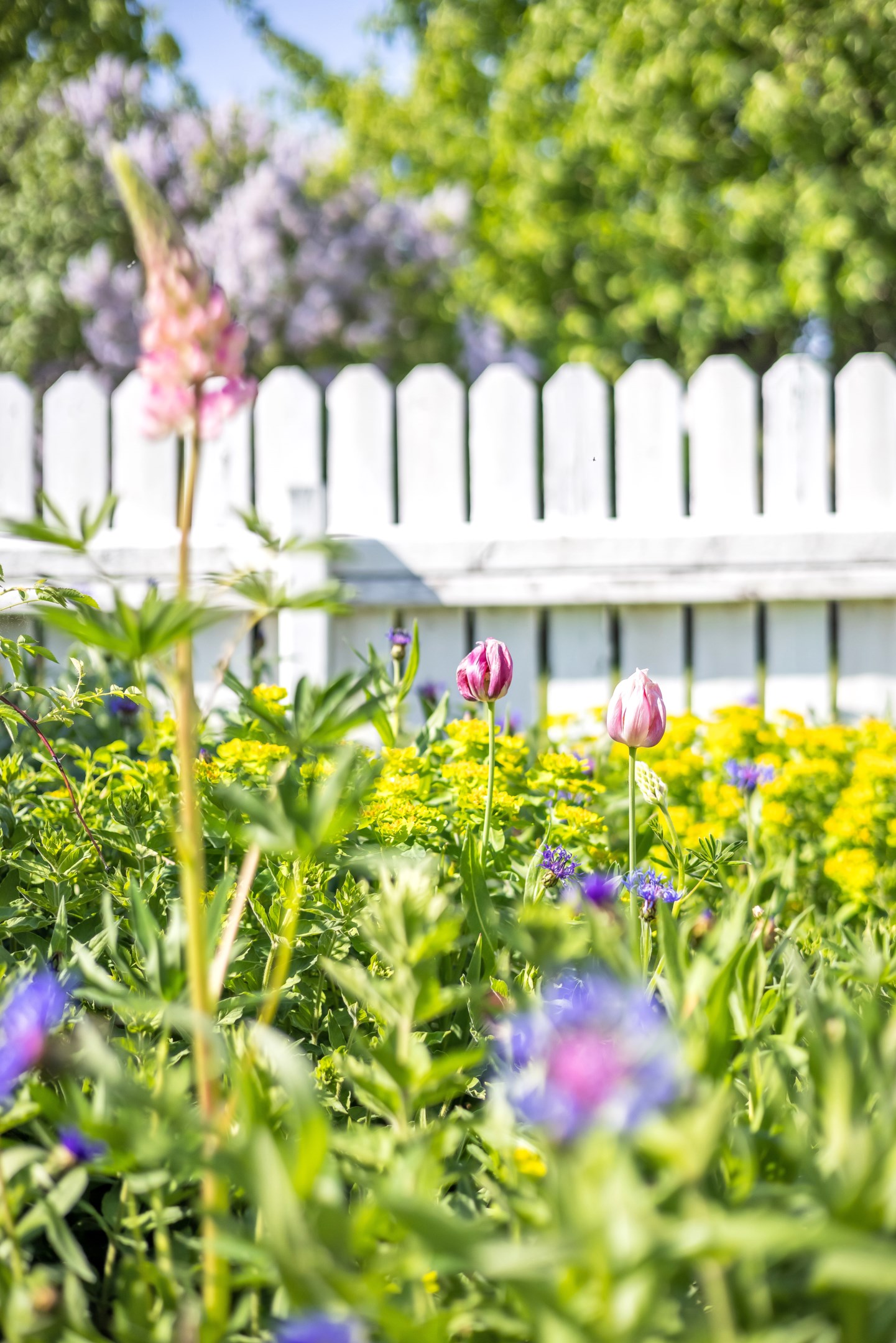 Bostadsbild från Timjansgatan 145, Såld i Årsta, Uppsala