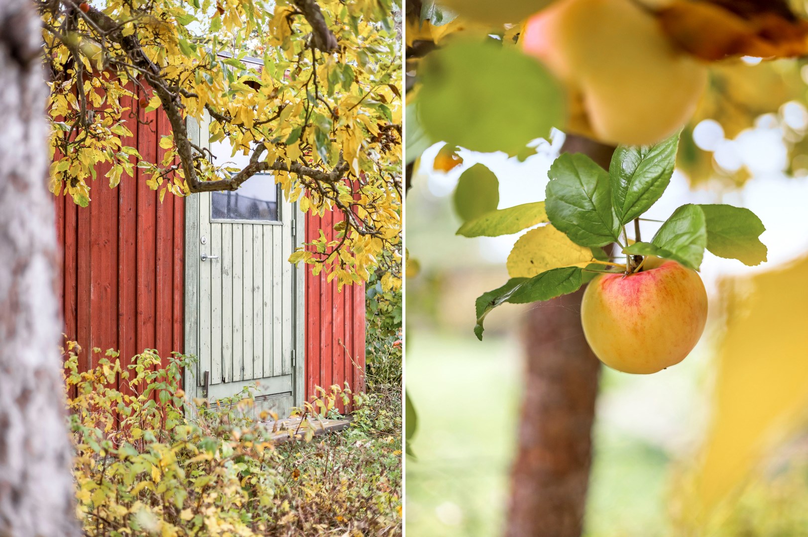 Bostadsbild från Läbygatan 8, Såld i Kungsgärdet, Uppsala