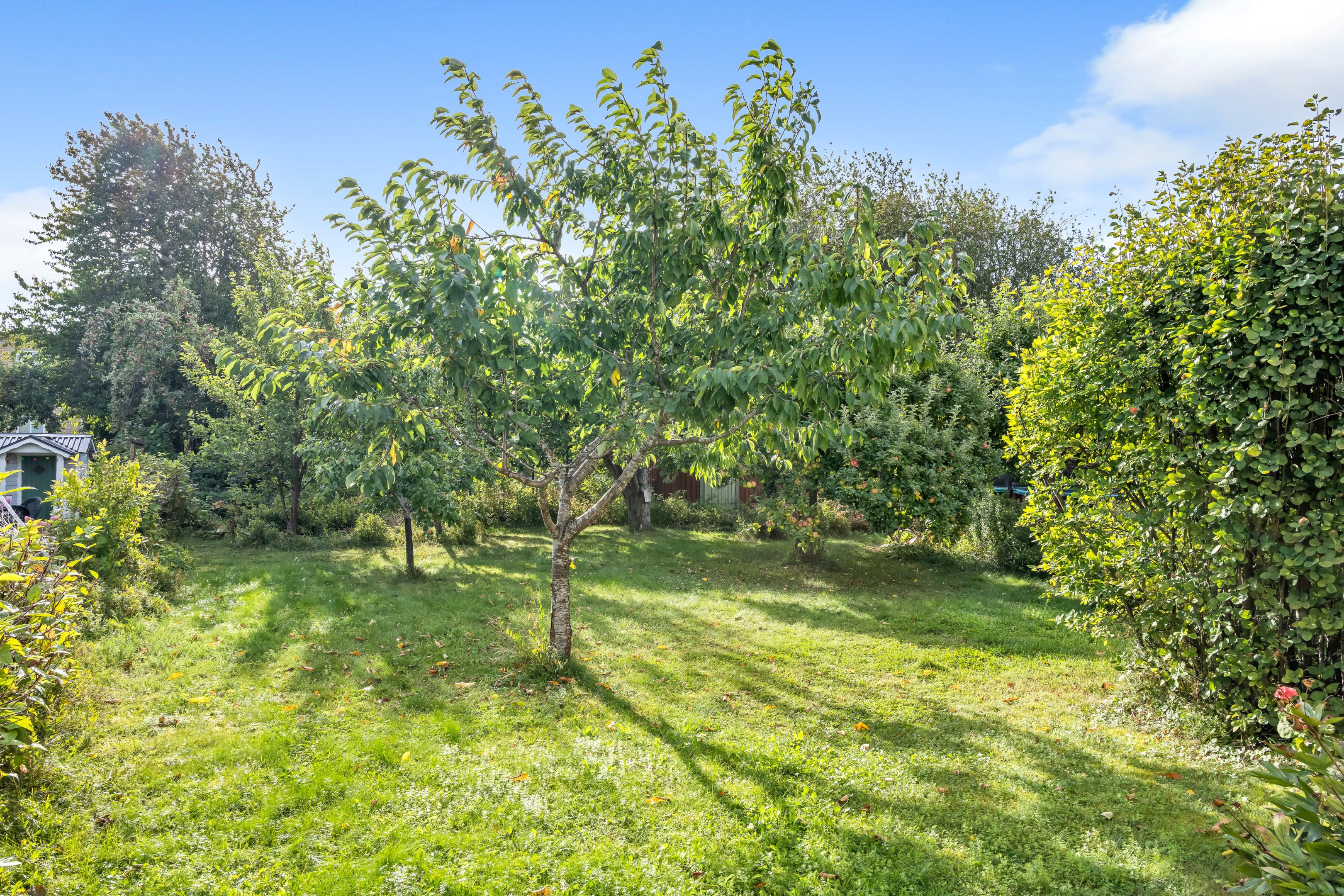 Bostadsbild från Läbygatan 8, Såld i Kungsgärdet, Uppsala