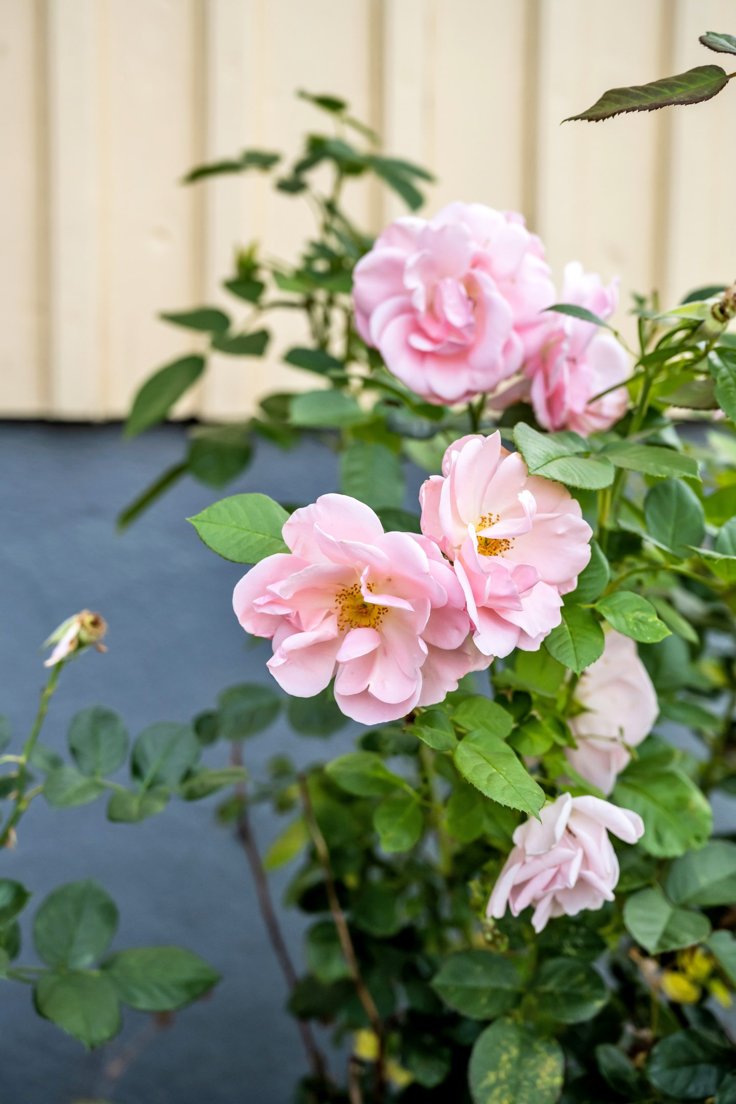 Bostadsbild från Läbygatan 8, Såld i Kungsgärdet, Uppsala